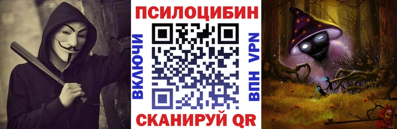 даркнет сайт  Воронеж  Псилоцибиновые грибы MAGIC MUSHROOMS 